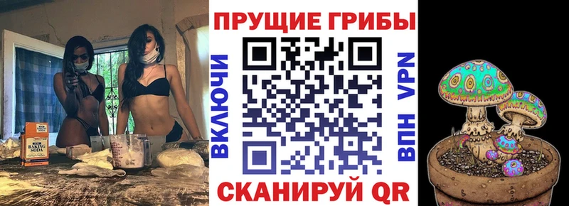 Галлюциногенные грибы GOLDEN TEACHER  дарнет шоп  Стародуб 
